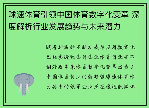 球速体育引领中国体育数字化变革 深度解析行业发展趋势与未来潜力